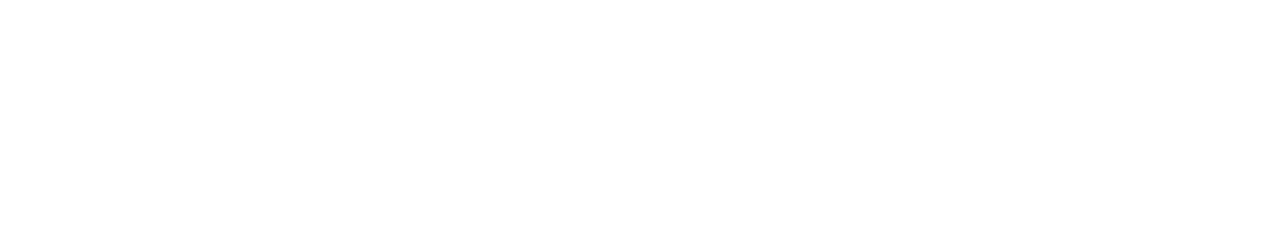Eusebio Sporting USA